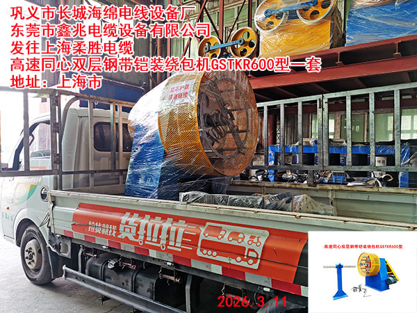 ����ͬ��˫��ִ���װ�ư���