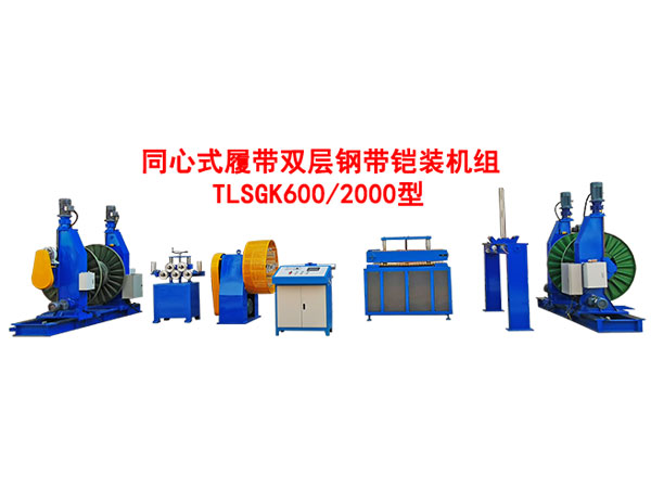 ͬ��ʽ�Ĵ�˫��ִ���װ����TLSGK600-2000��